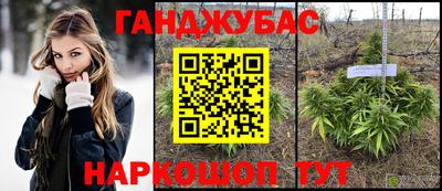 МДПВ Краснознаменск