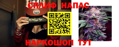 МДПВ Краснознаменск