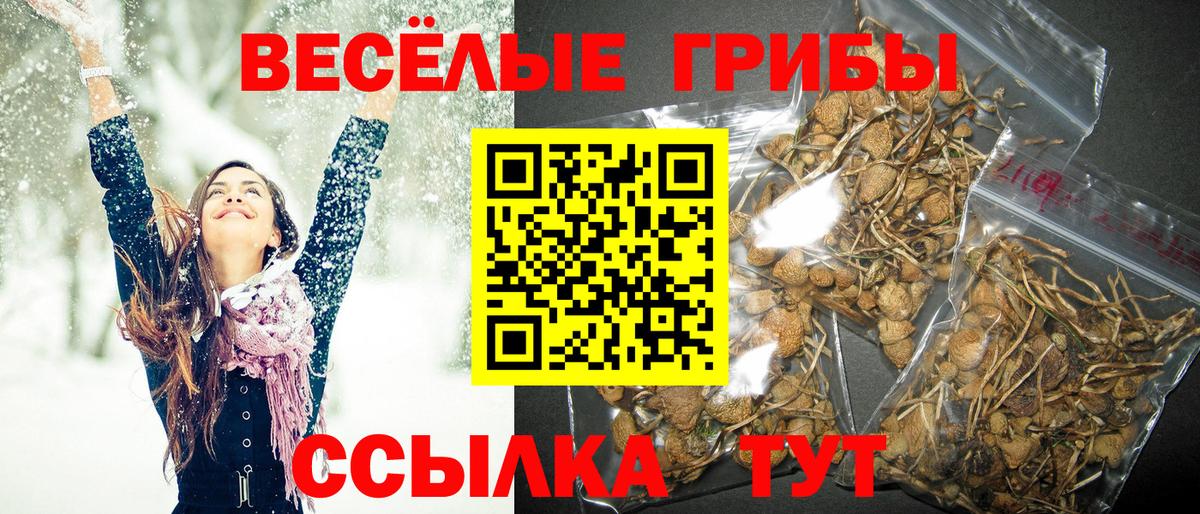 Псилоцибиновые грибы мухоморы Корсаков